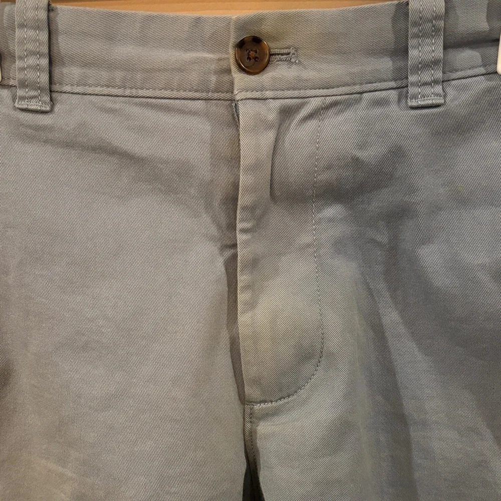 J. Crew Light Blue Flat Front Shorts 9